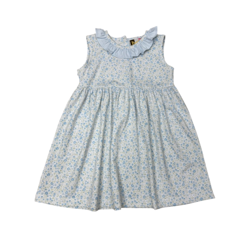 BANANA SPLIT May Flowers Dress-BANANA SPLIT-Little Giant Kidz