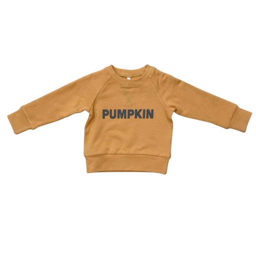 Baby Sprouts Boy'S Raglan Sweatshirt Pumpkin-Baby Sprouts-Little Giant Kidz