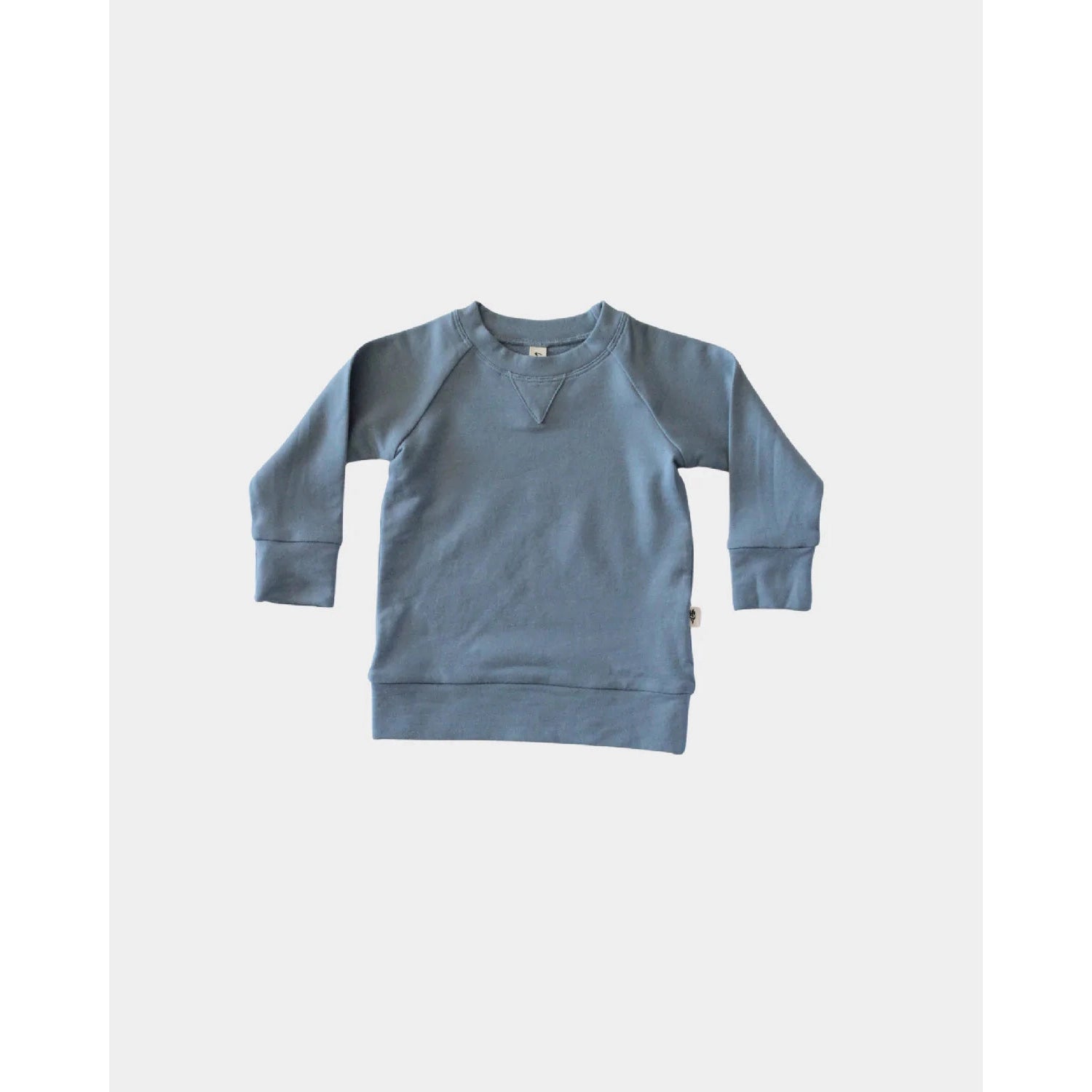 Baby Sprouts Slate Blue Raglan Sweatshirt-Baby Sprouts-Little Giant Kidz