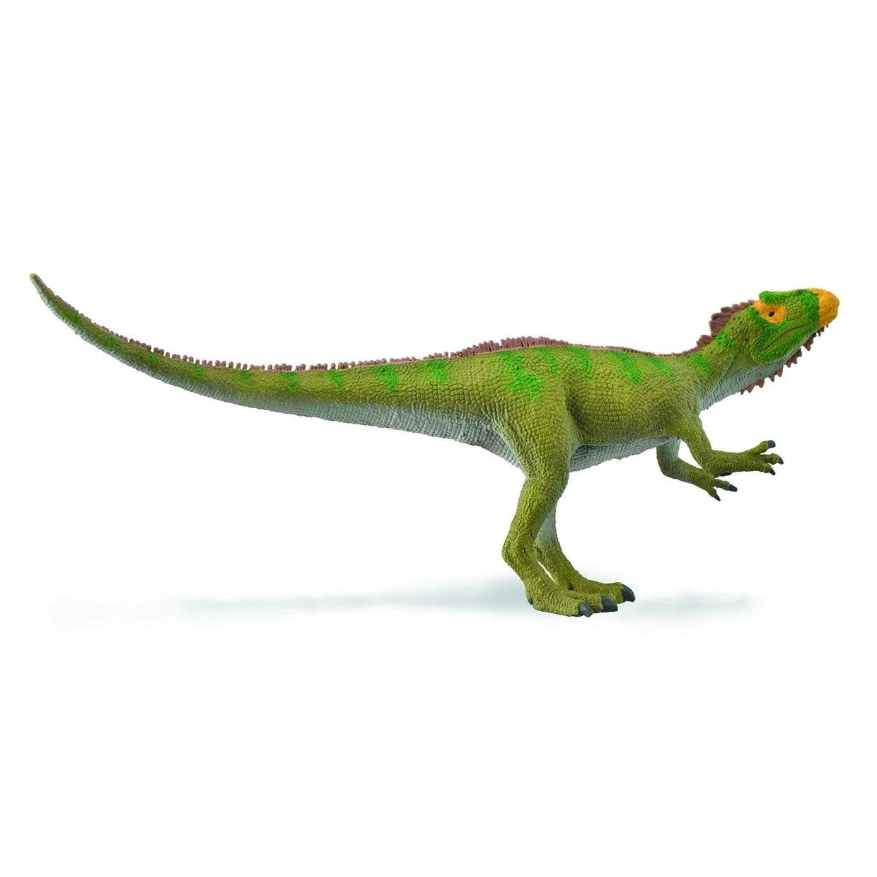 Breyer by CollectA Neovenator Scenting Prey-BREYER-Little Giant Kidz