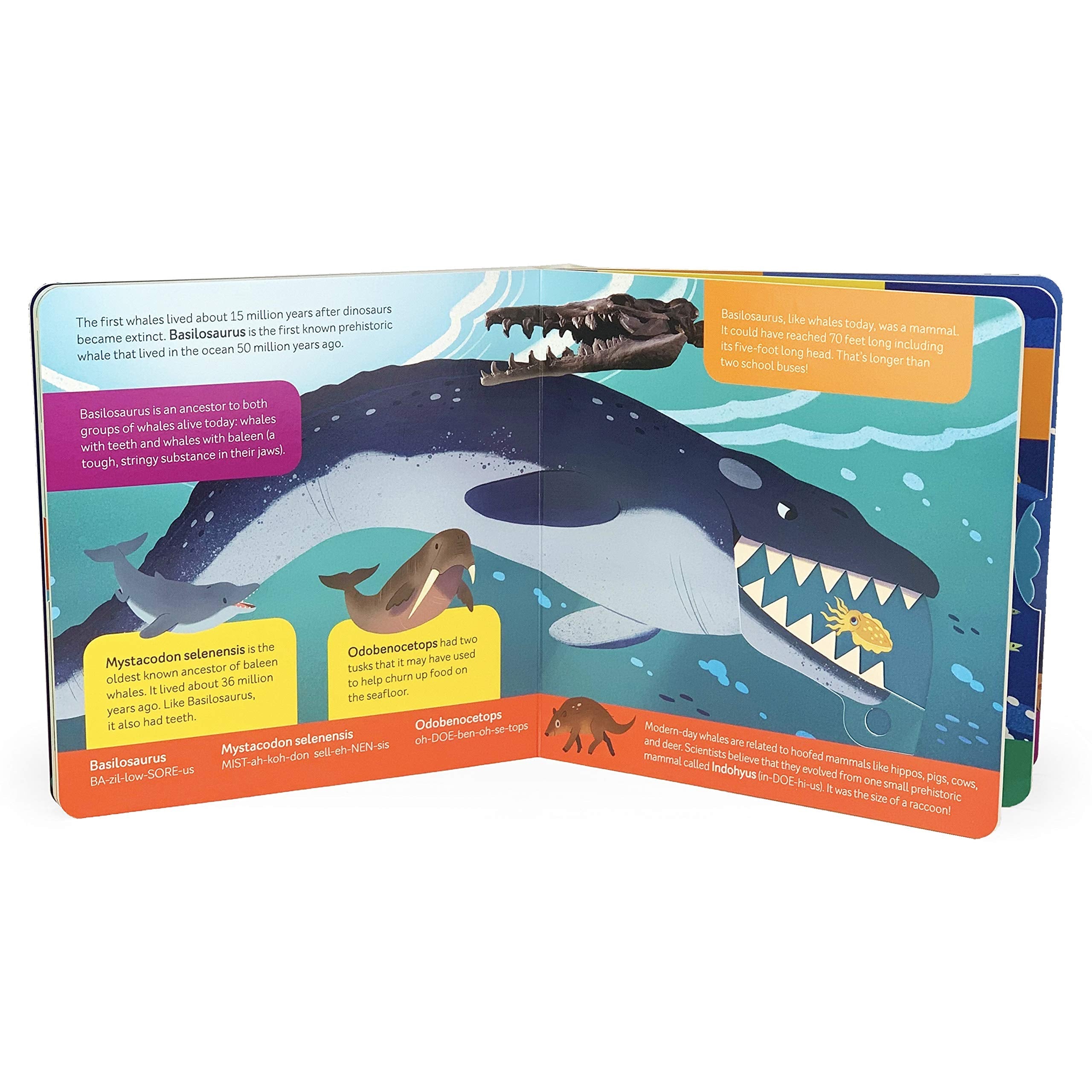 Cottage Door Press: Smithsonian Kids: Prehistoric Deep Sea Board Book-COTTAGE DOOR PRESS-Little Giant Kidz