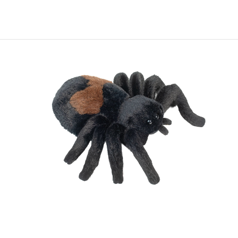 DOUGLAS Sneakie Spider-DOUGLAS-Little Giant Kidz