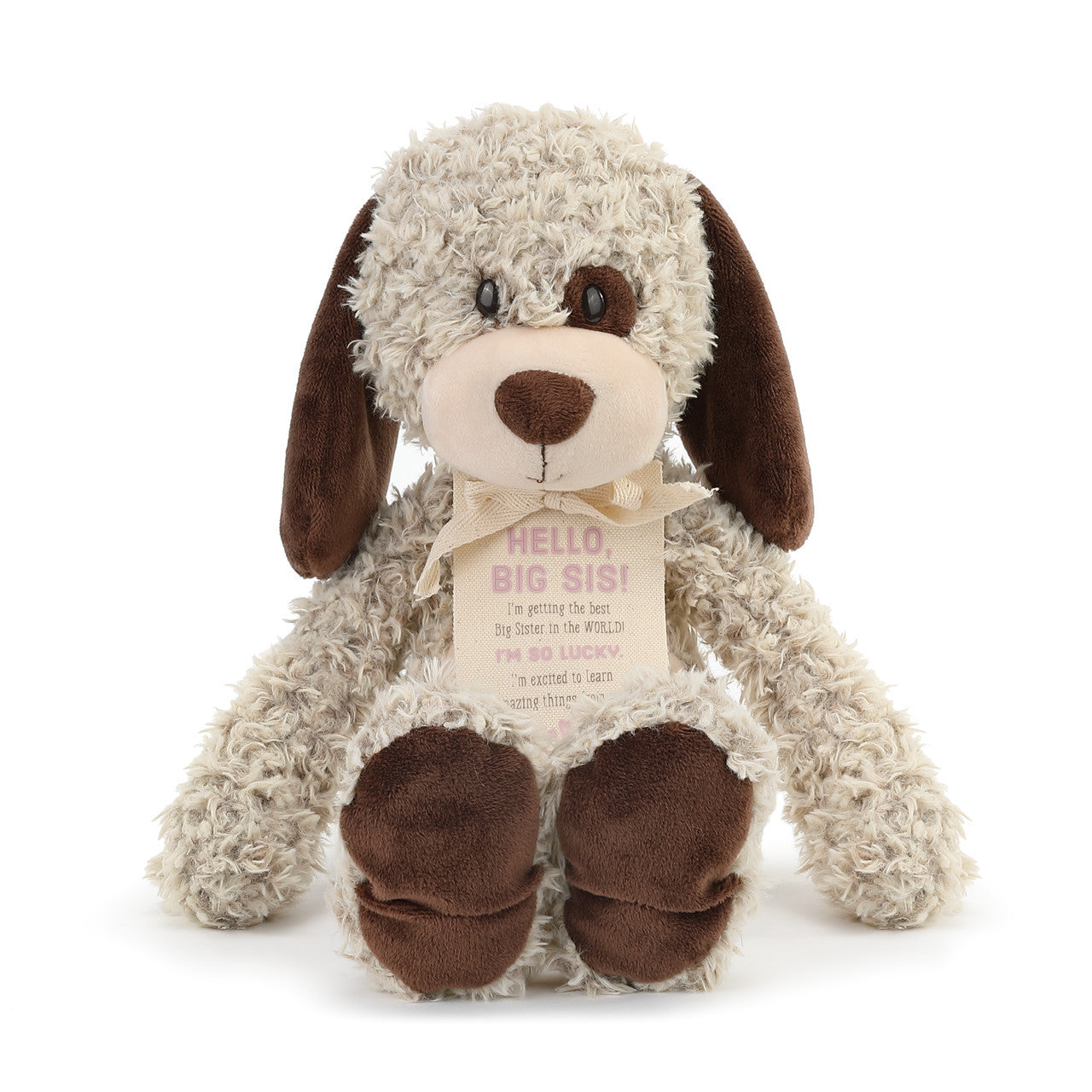 Demdaco Gift from the New Kid: Big Sister Plush Puppy-DEMDACO-Little Giant Kidz