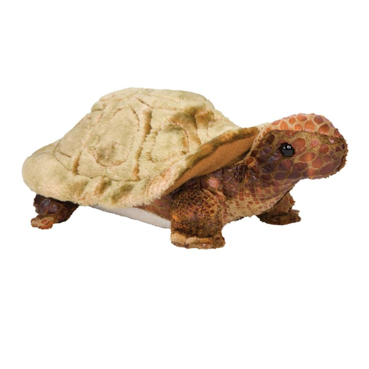 Douglas Speedy Tortoise-DOUGLAS-Little Giant Kidz