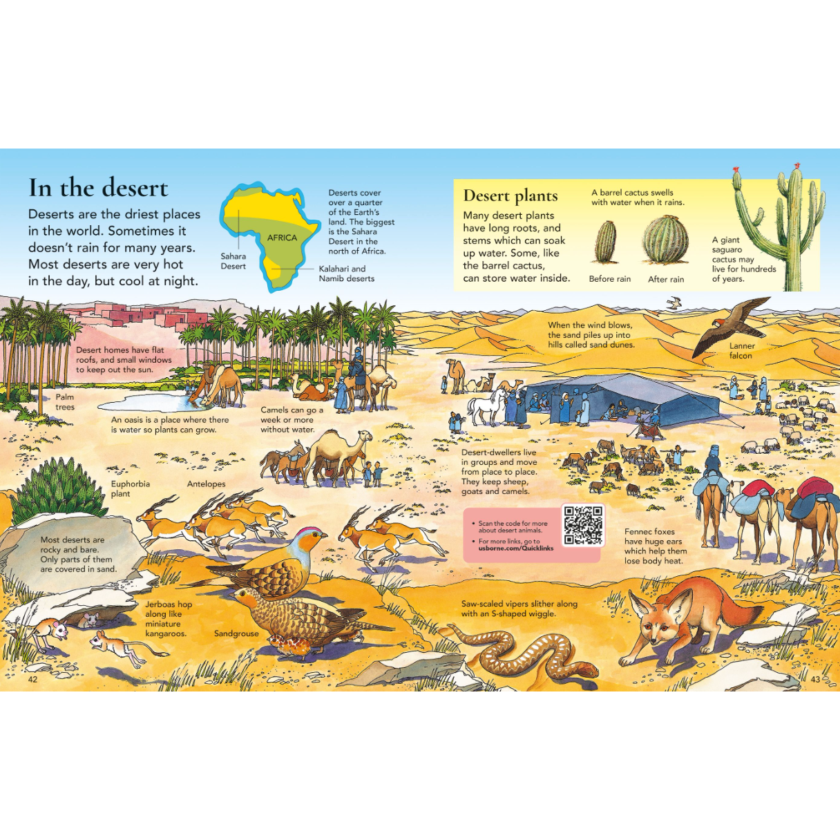 First Encyclopedia of Our World-HARPER COLLINS PUBLISHERS-Little Giant Kidz