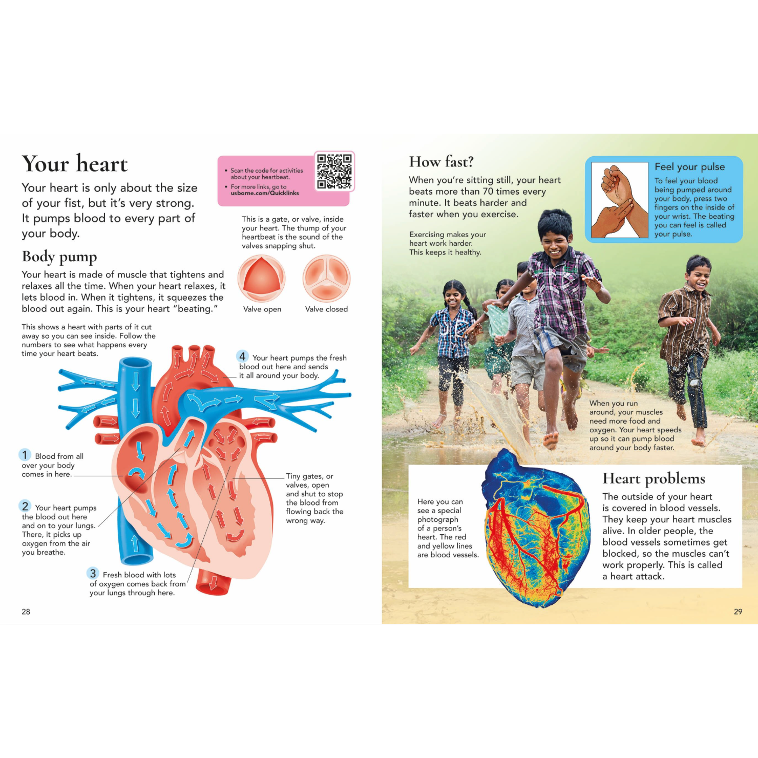 First Encyclopedia of the Human Body-HARPER COLLINS PUBLISHERS-Little Giant Kidz