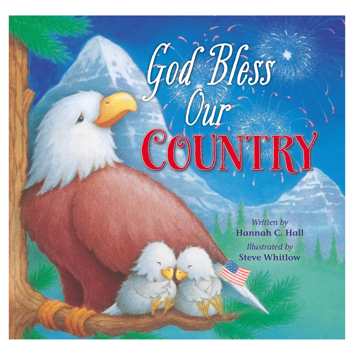God Bless Our Country-HARPER COLLINS PUBLISHERS-Little Giant Kidz
