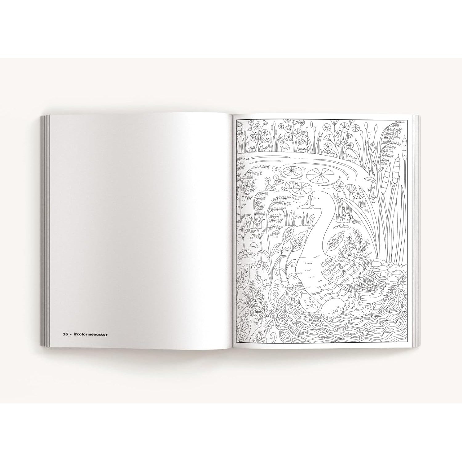 Harper Collins: Color Me Easter: An Adorable Springtime Coloring Book-HARPER COLLINS PUBLISHERS-Little Giant Kidz