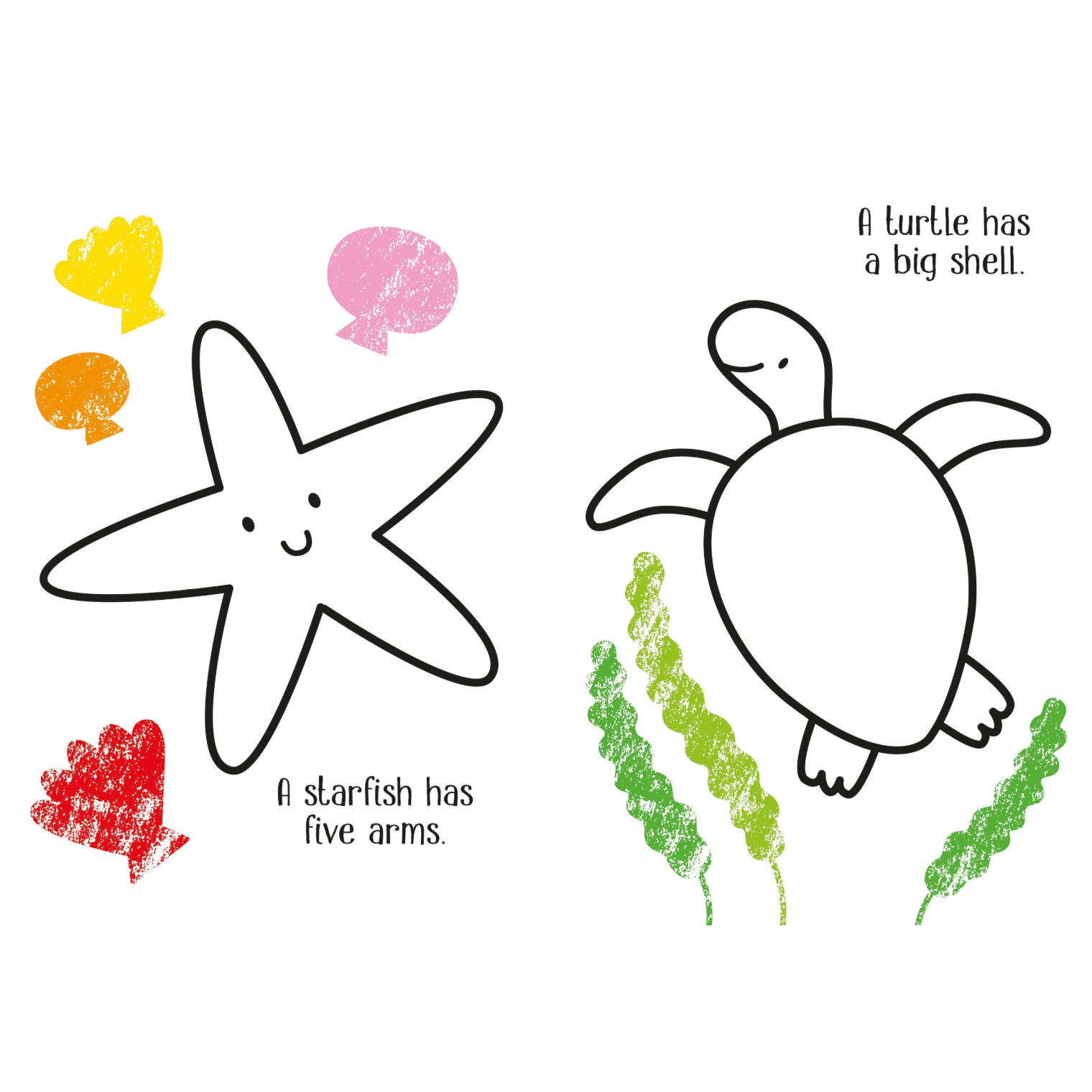 Little Coloring Under the Sea-HARPER COLLINS PUBLISHERS-Little Giant Kidz