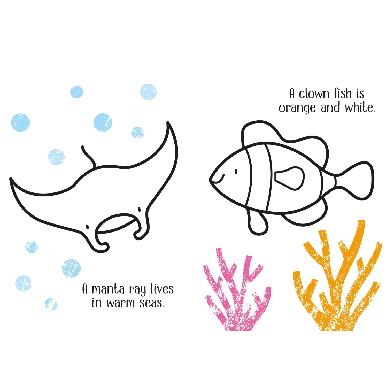 Little Coloring Under the Sea-HARPER COLLINS PUBLISHERS-Little Giant Kidz