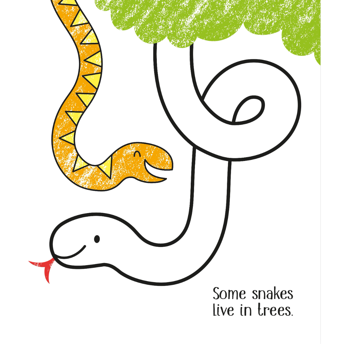 Little Coloring Zoo Animals-HARPER COLLINS PUBLISHERS-Little Giant Kidz