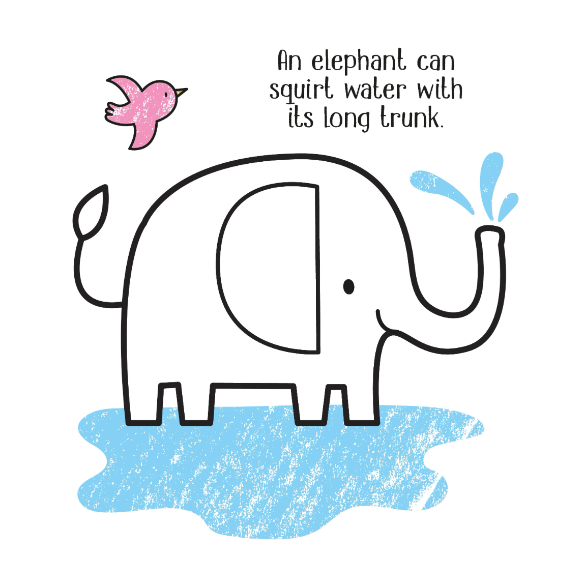 Little Coloring Zoo Animals-HARPER COLLINS PUBLISHERS-Little Giant Kidz