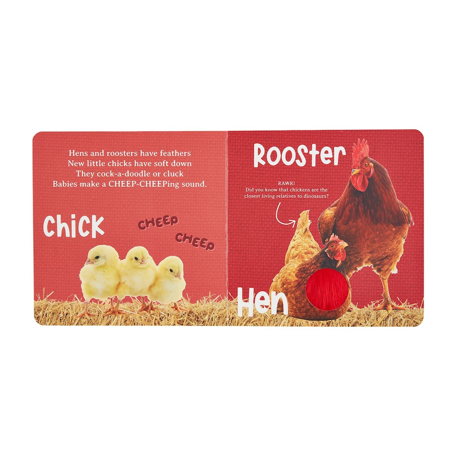 Mud Pie Hear & Feel Farm Board Book-MUD PIE-Little Giant Kidz