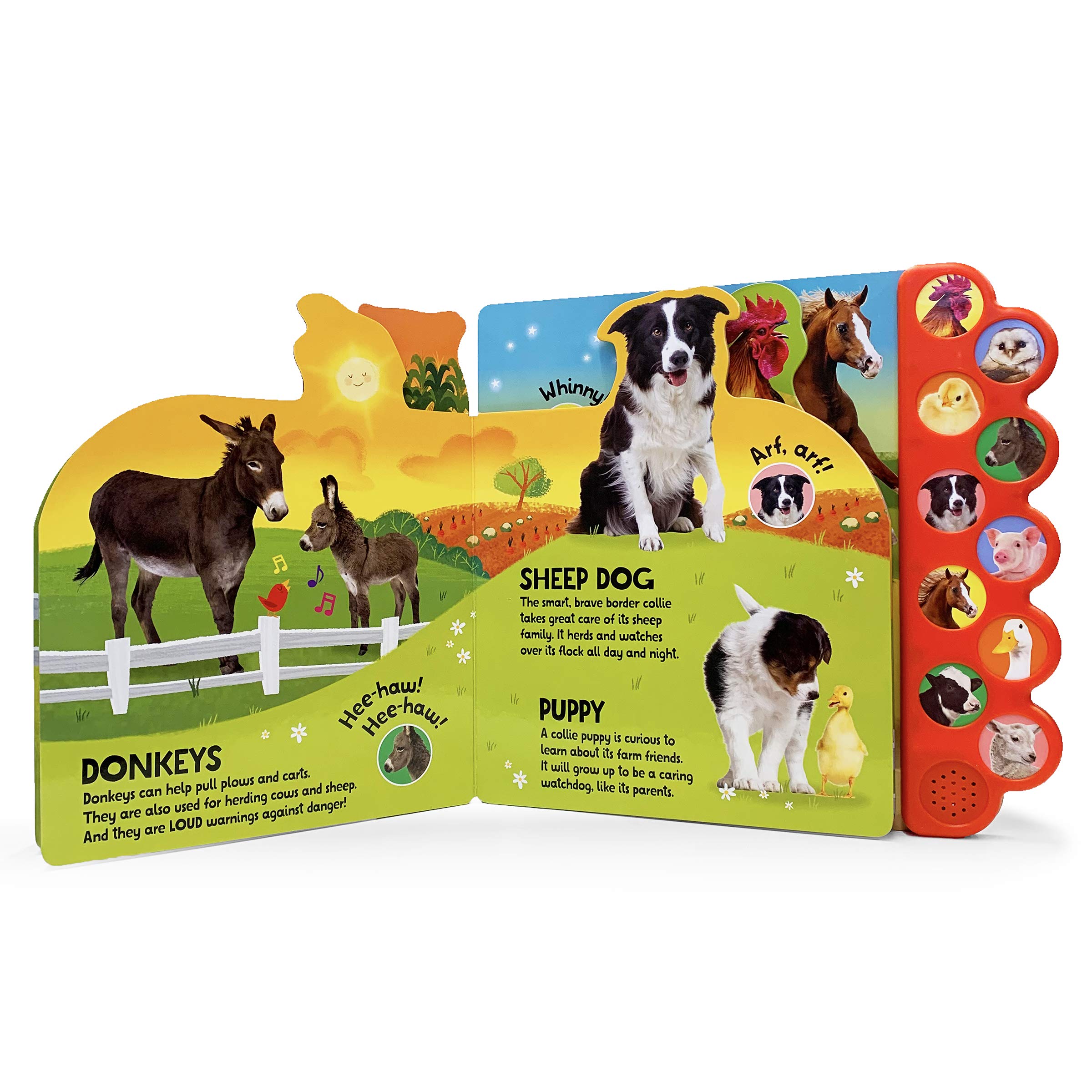 Parragon Books: Quack! Moo! Oink!: Listen to Animals Around the Farm - 10 Button Sound Book-COTTAGE DOOR PRESS-Little Giant Kidz
