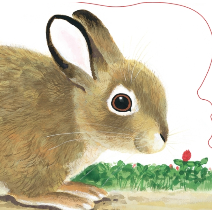 Richard Scarry's Bunnies-PENGUIN RANDOM HOUSE-Little Giant Kidz