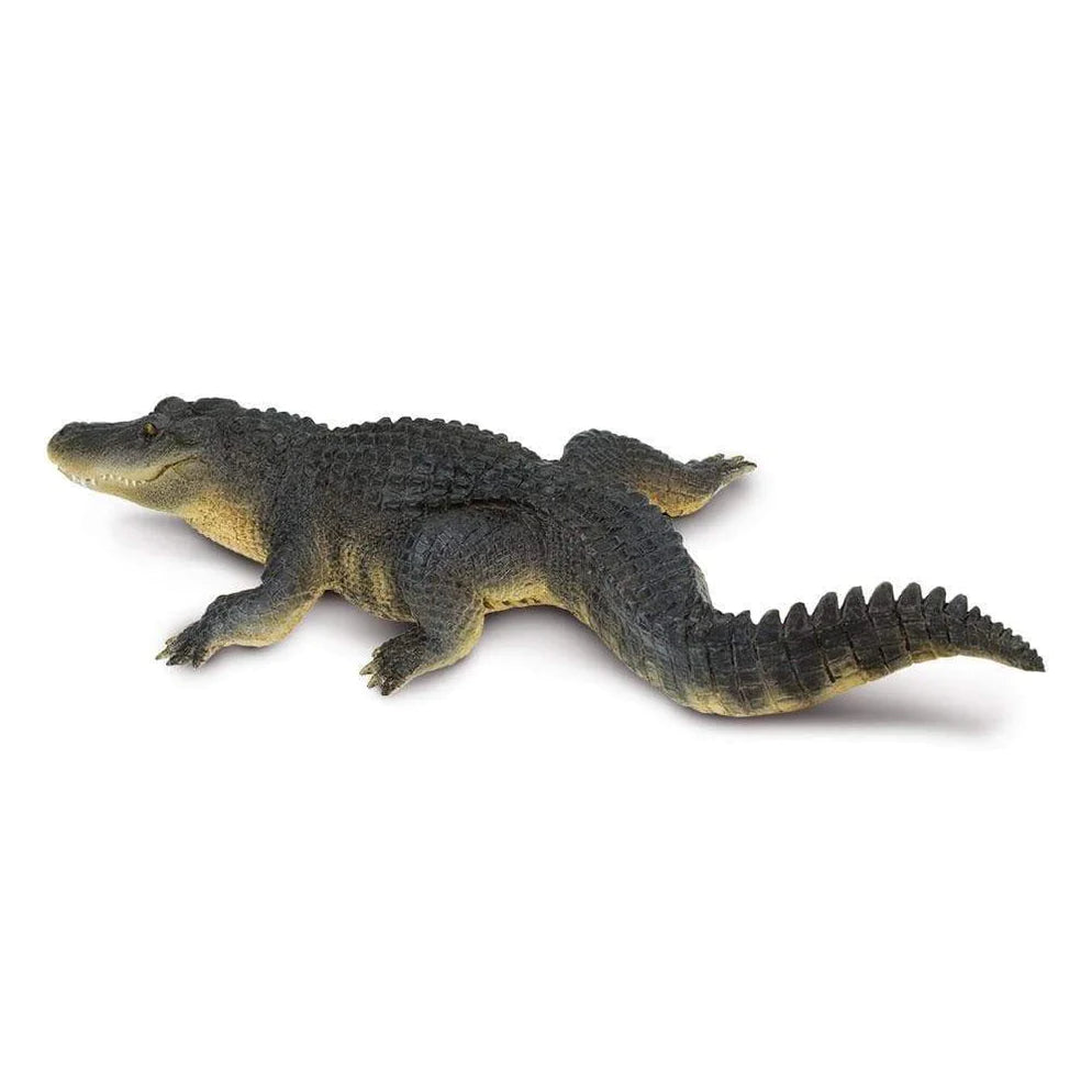 Safari Ltd. Alligator Toy-SAFARI LTD-Little Giant Kidz