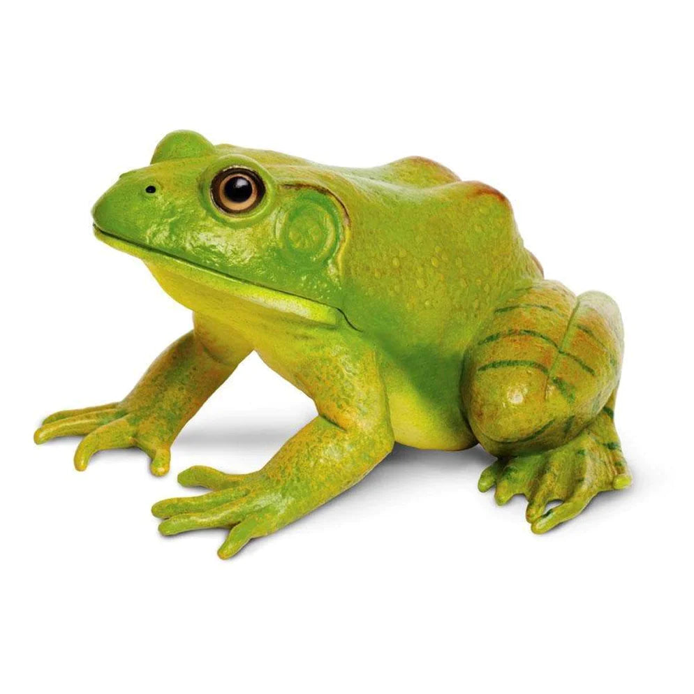 Safari Ltd. American Bullfrog Toy-SAFARI LTD-Little Giant Kidz