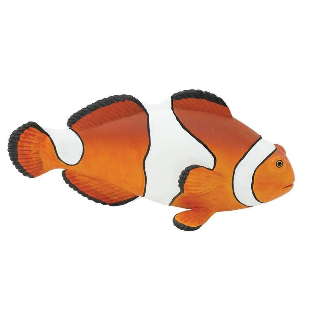 Safari Ltd. Clown Anemonefish Toy-SAFARI LTD-Little Giant Kidz