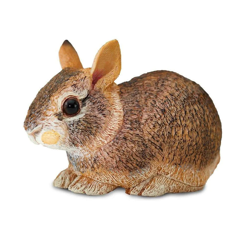 Safari Ltd. Eastern Cottontail Rabbit Baby Toy-SAFARI LTD-Little Giant Kidz