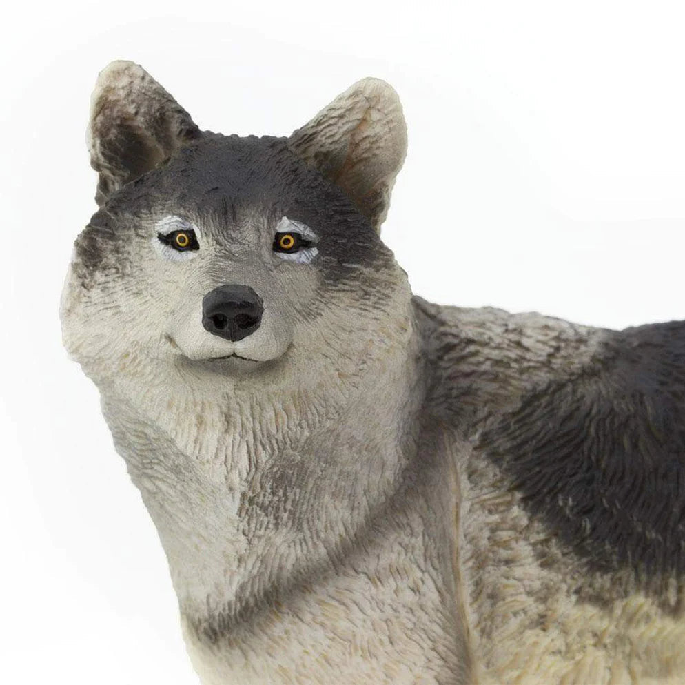 Safari Ltd. Gray Wolf Toy-SAFARI LTD-Little Giant Kidz