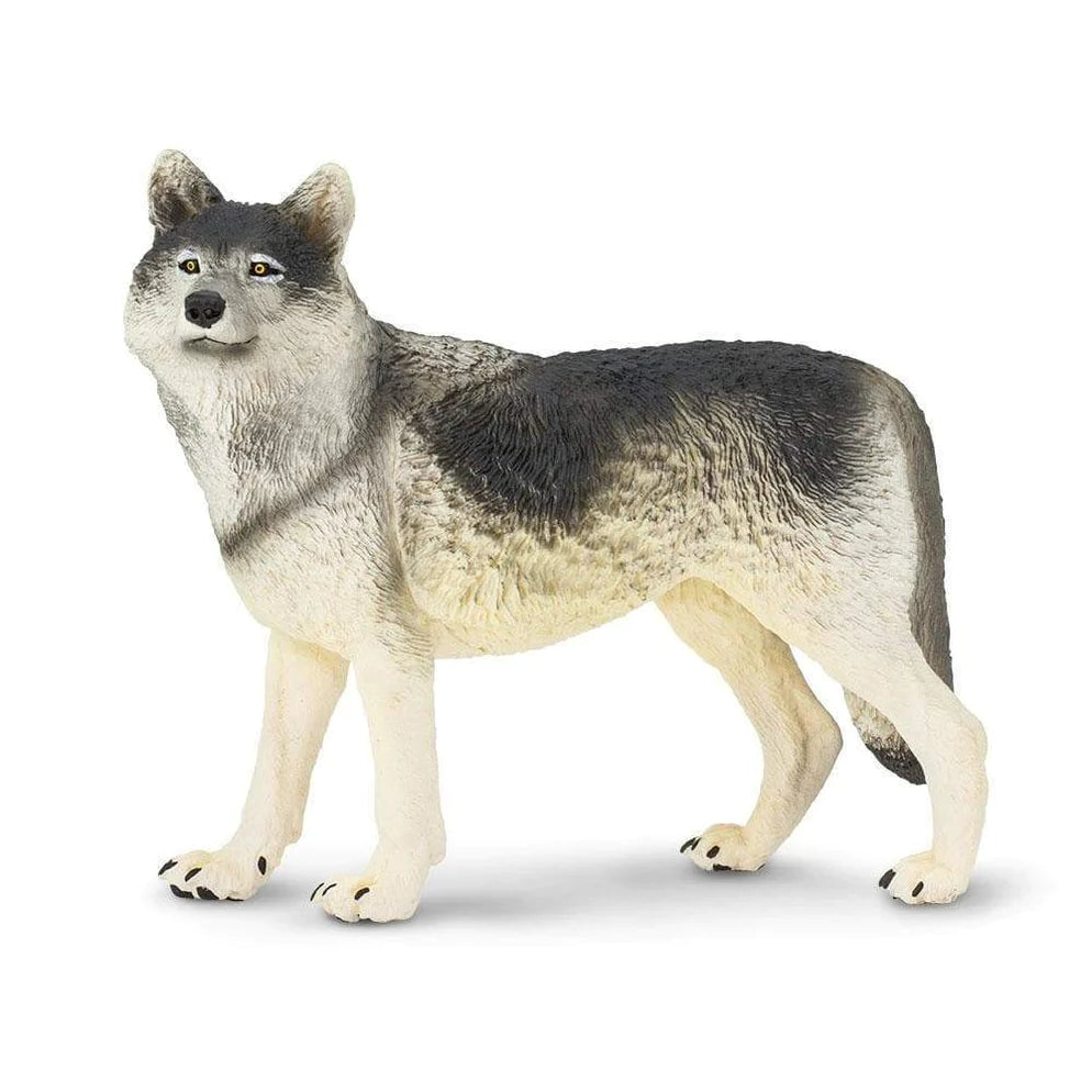 Safari Ltd. Gray Wolf Toy-SAFARI LTD-Little Giant Kidz