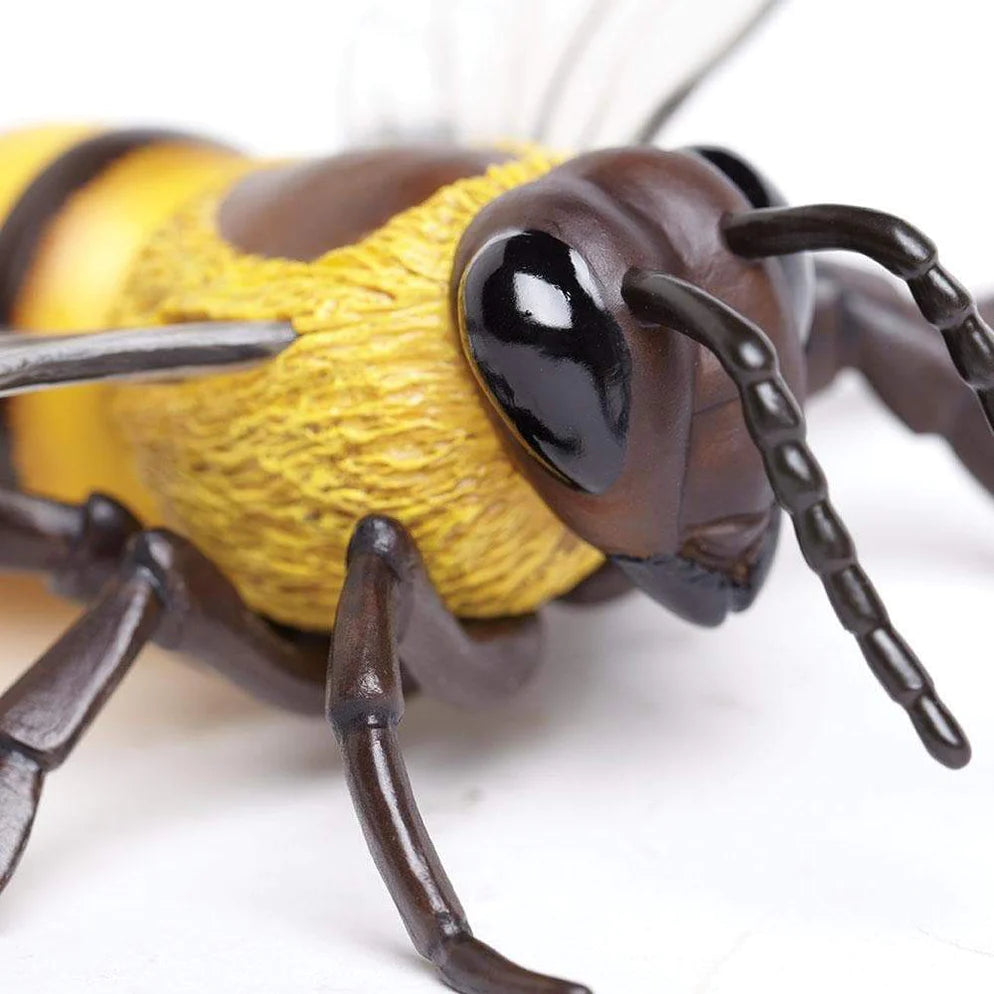 Safari Ltd. Honey Bee Toy-SAFARI LTD-Little Giant Kidz