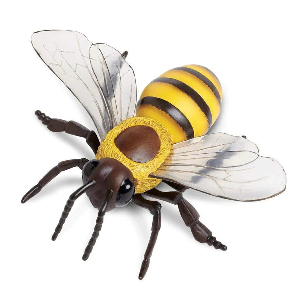 Safari Ltd. Honey Bee Toy-SAFARI LTD-Little Giant Kidz