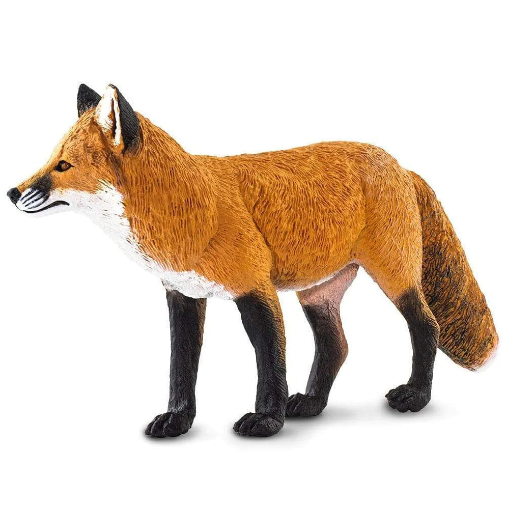Safari Ltd. Red Fox Toy-SAFARI LTD-Little Giant Kidz