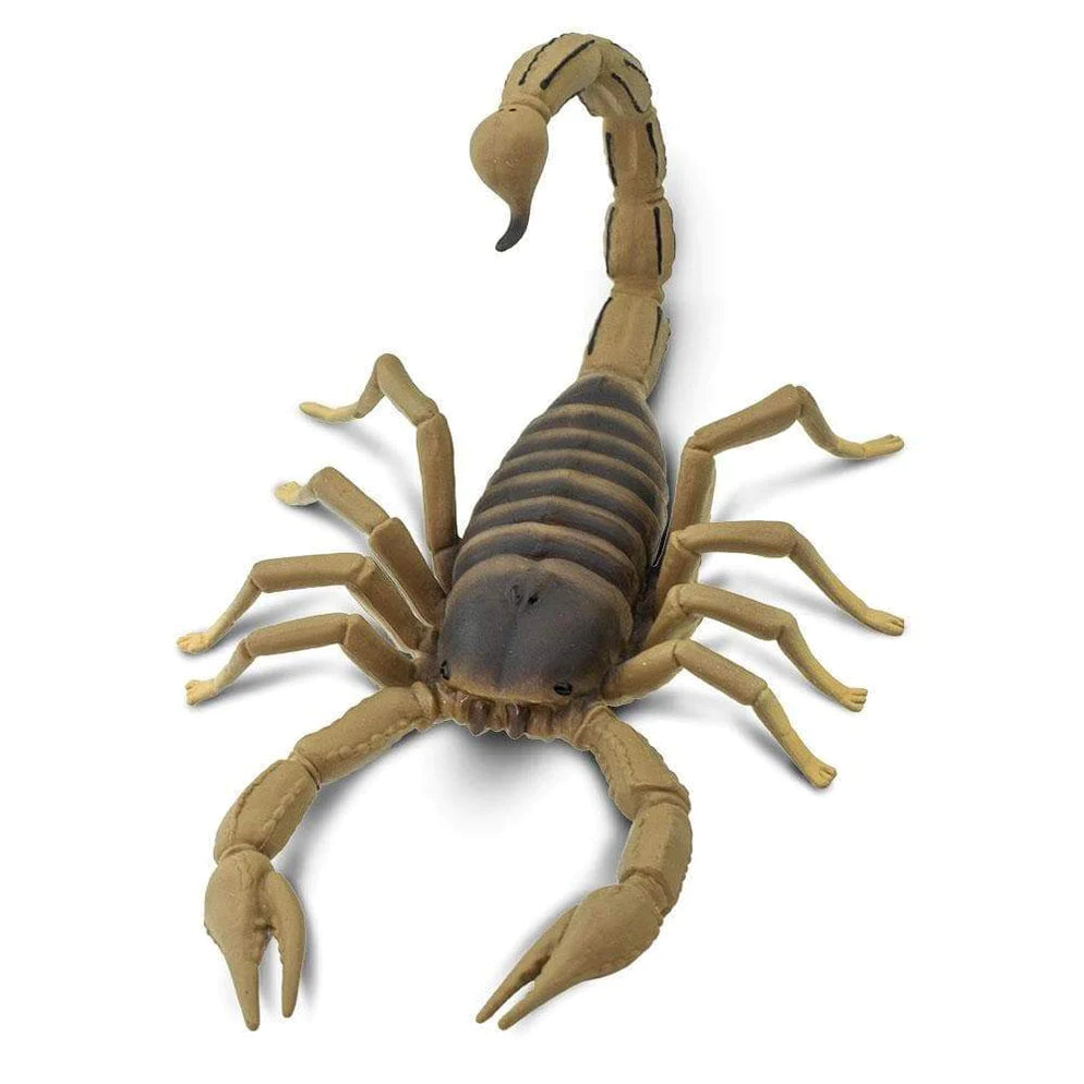 Safari Ltd. Scorpion Toy-SAFARI LTD-Little Giant Kidz