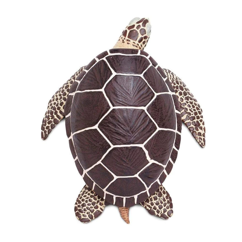 Safari Ltd. Sea Turtle Toy-SAFARI LTD-Little Giant Kidz