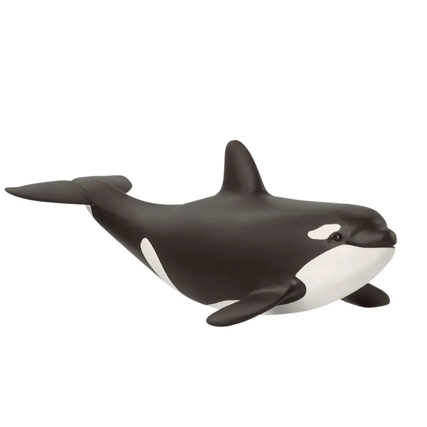 Schleich Baby Orca-SCHLEICH-Little Giant Kidz