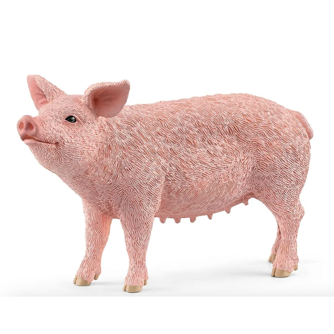 Schleich Pig-Schleich-Little Giant Kidz