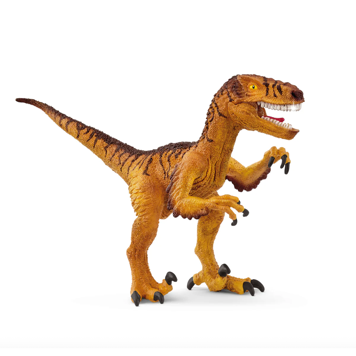 Schleich Velociraptor-SCHLEICH-Little Giant Kidz