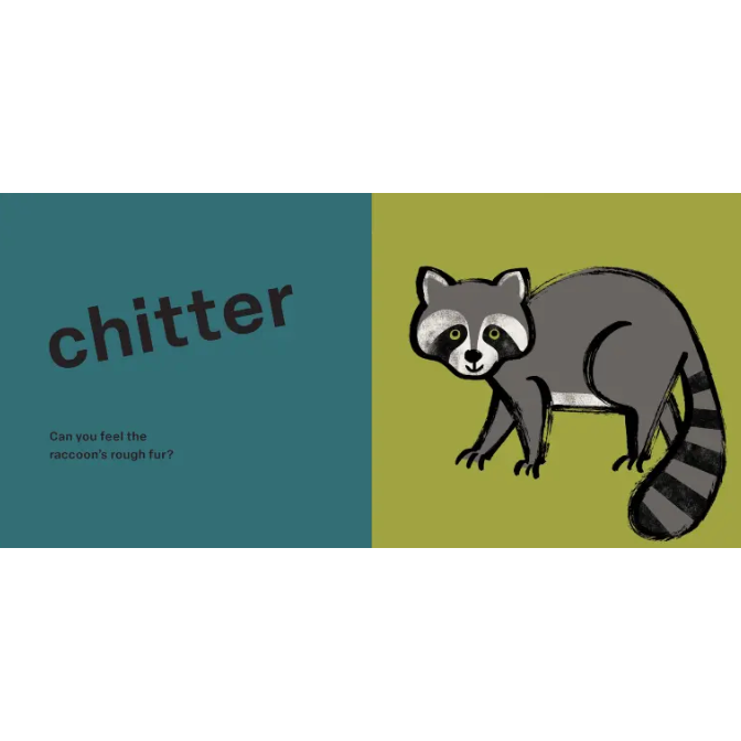 Spring Street Touch and Feel: Forest- Board Book-HACHETTE BOOK GROUP USA-Little Giant Kidz