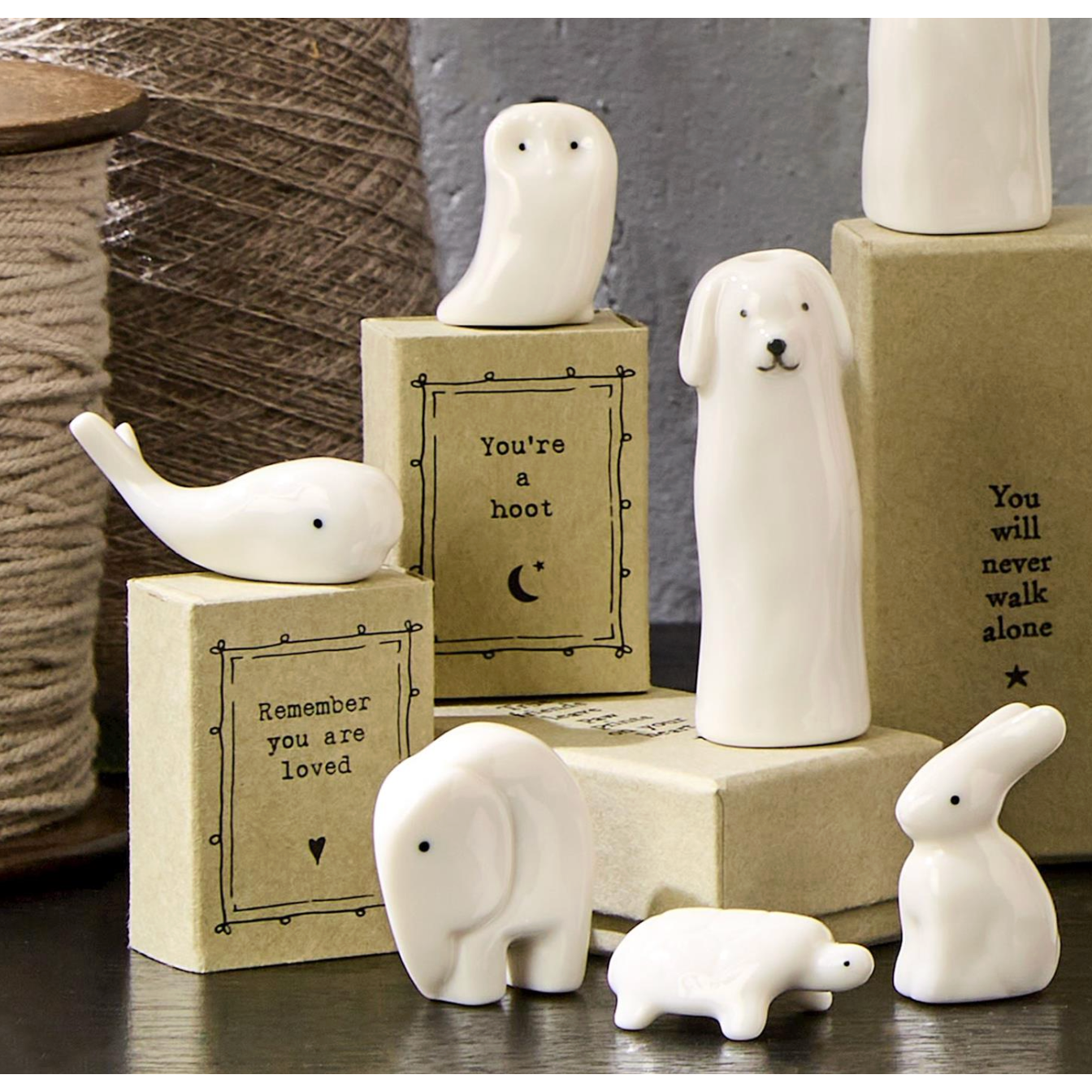 Sweet Sentiments Matchbox Animal in Gift Box Designed By East of India-CUPCAKES & CARTWHEELS-Little Giant Kidz