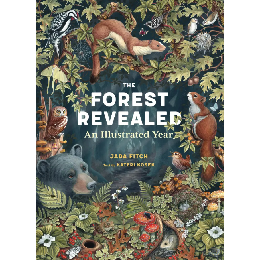 The Forest Revealed- Hardcover Picture Book-HACHETTE BOOK GROUP USA-Little Giant Kidz