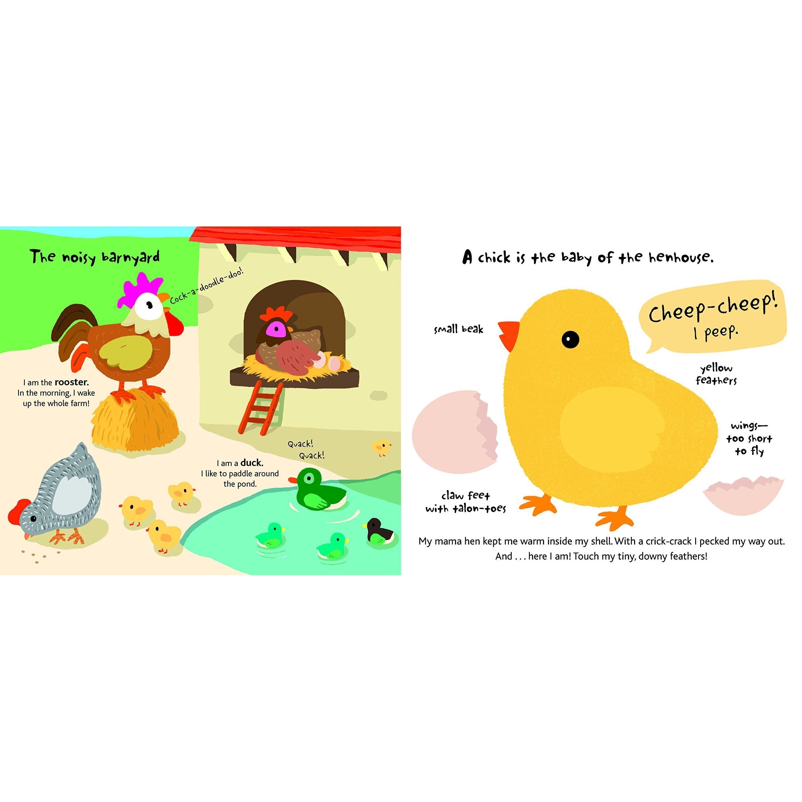 Chronicle Books: Touch and Explore: Farm (Board Book)-CHRONICLE BOOKS-Little Giant Kidz
