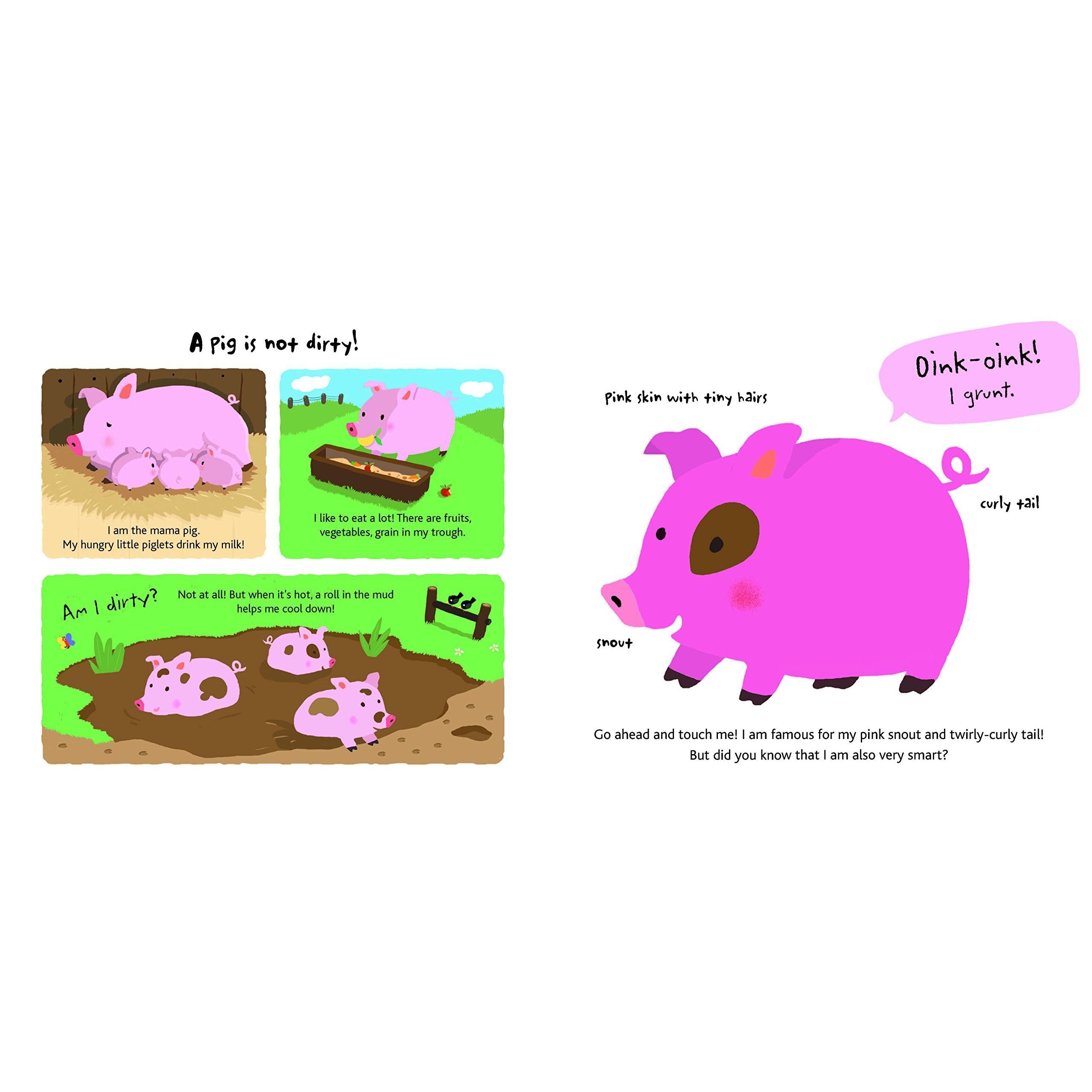 Chronicle Books: Touch and Explore: Farm (Board Book)-CHRONICLE BOOKS-Little Giant Kidz