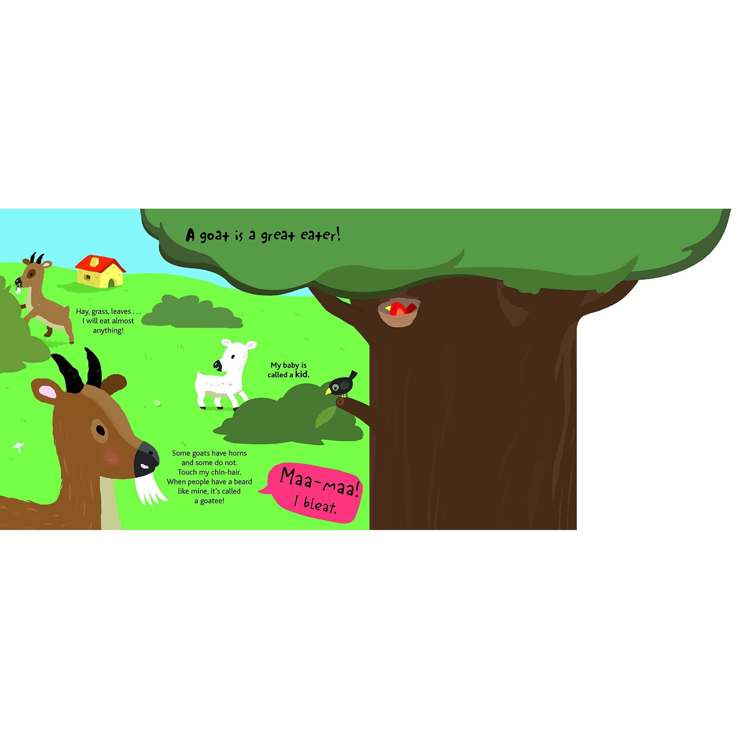 Chronicle Books: Touch and Explore: Farm (Board Book)-CHRONICLE BOOKS-Little Giant Kidz