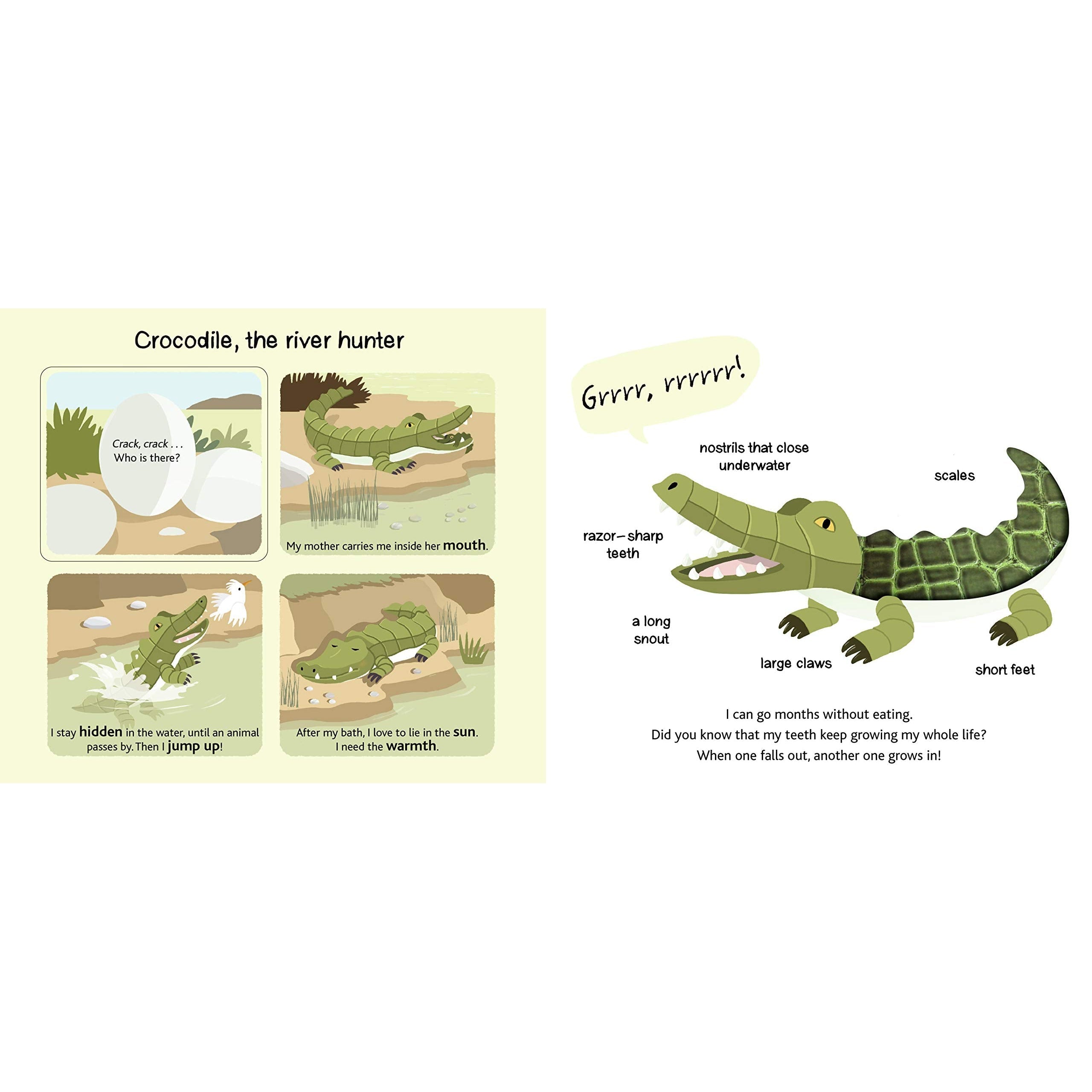 Chronicle Books: Touch and Explore: Safari (Board Book)-CHRONICLE BOOKS-Little Giant Kidz