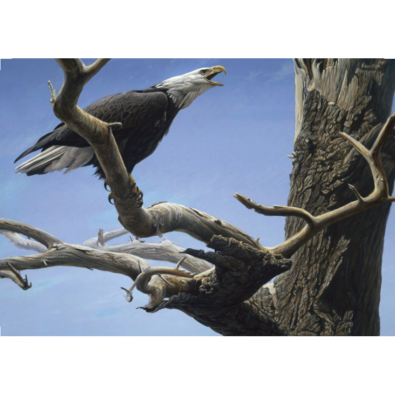 Cobble Hill Puzzle Co. Call of the Wild - Puzzle-COBBLE HILL PUZZLE CO-Little Giant Kidz