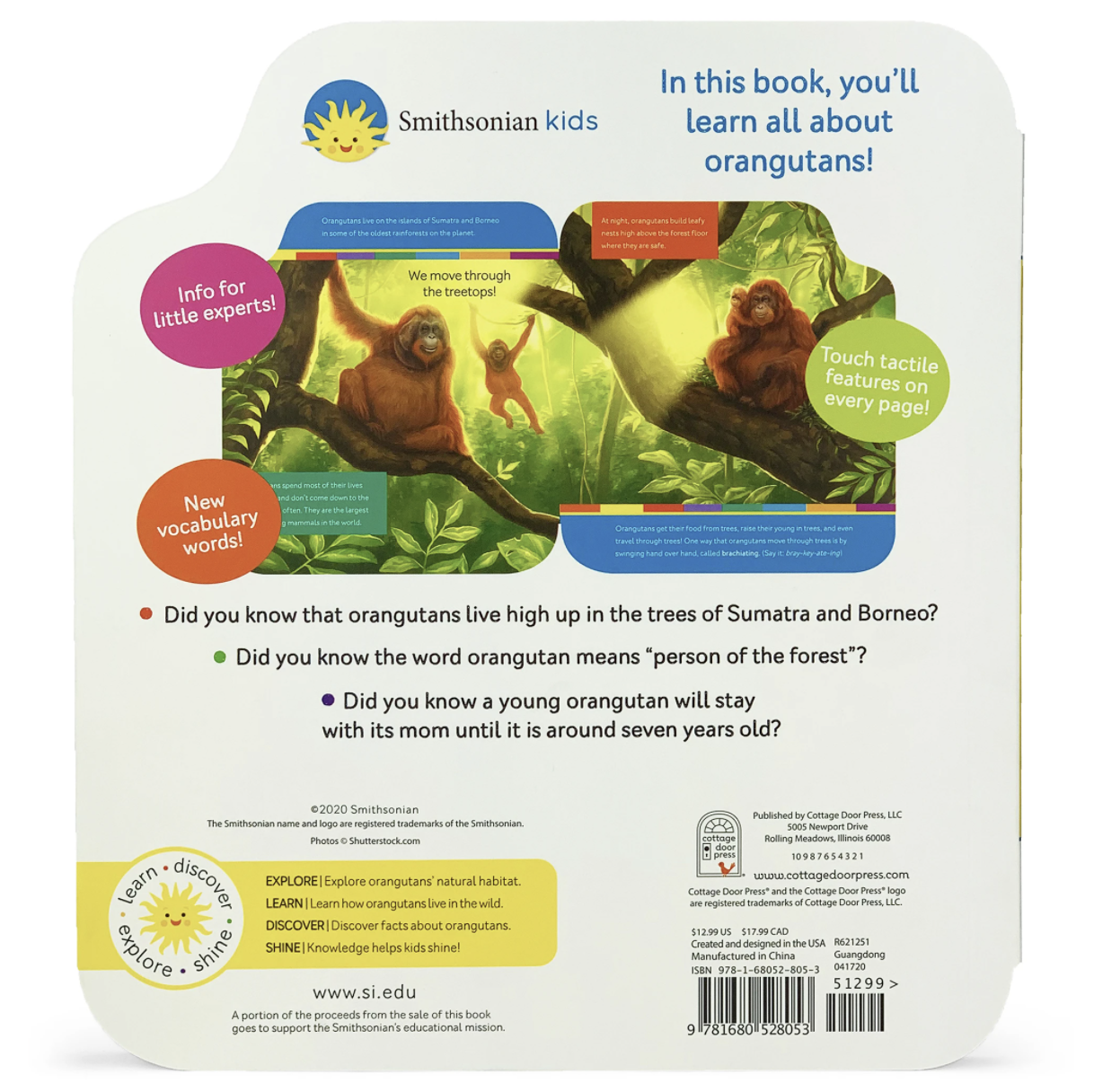 Cottage Door Press: Smithsonian Kids: Orangutan and Baby (Board Book)-COTTAGE DOOR PRESS-Little Giant Kidz