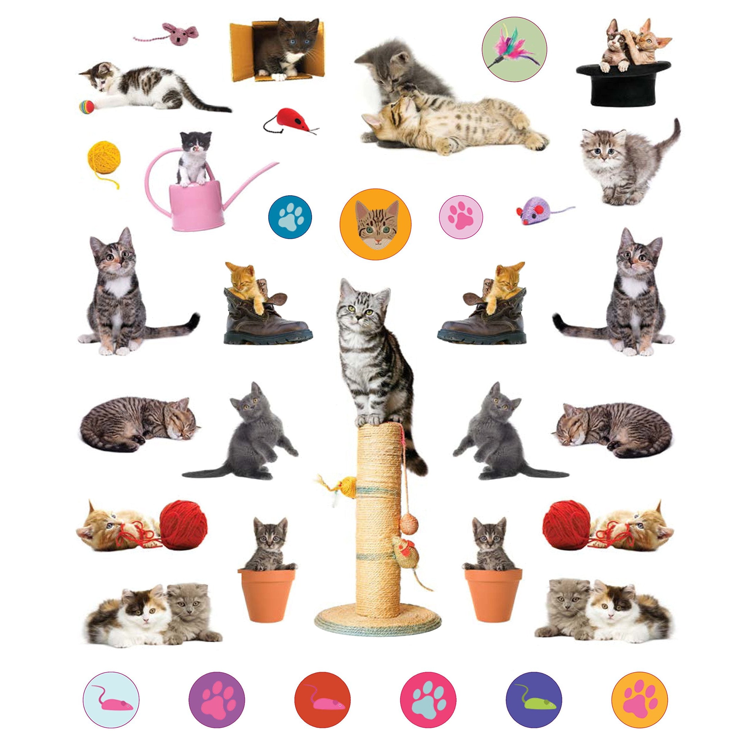 Eyelike Stickers: Kittens- Paperback Book-HACHETTE BOOK GROUP USA-Little Giant Kidz