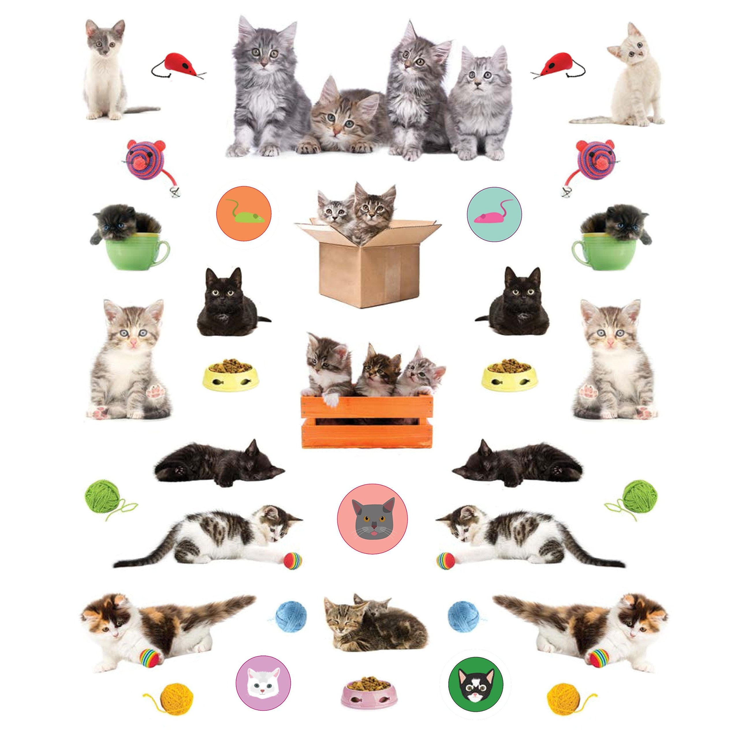 Eyelike Stickers: Kittens- Paperback Book-HACHETTE BOOK GROUP USA-Little Giant Kidz