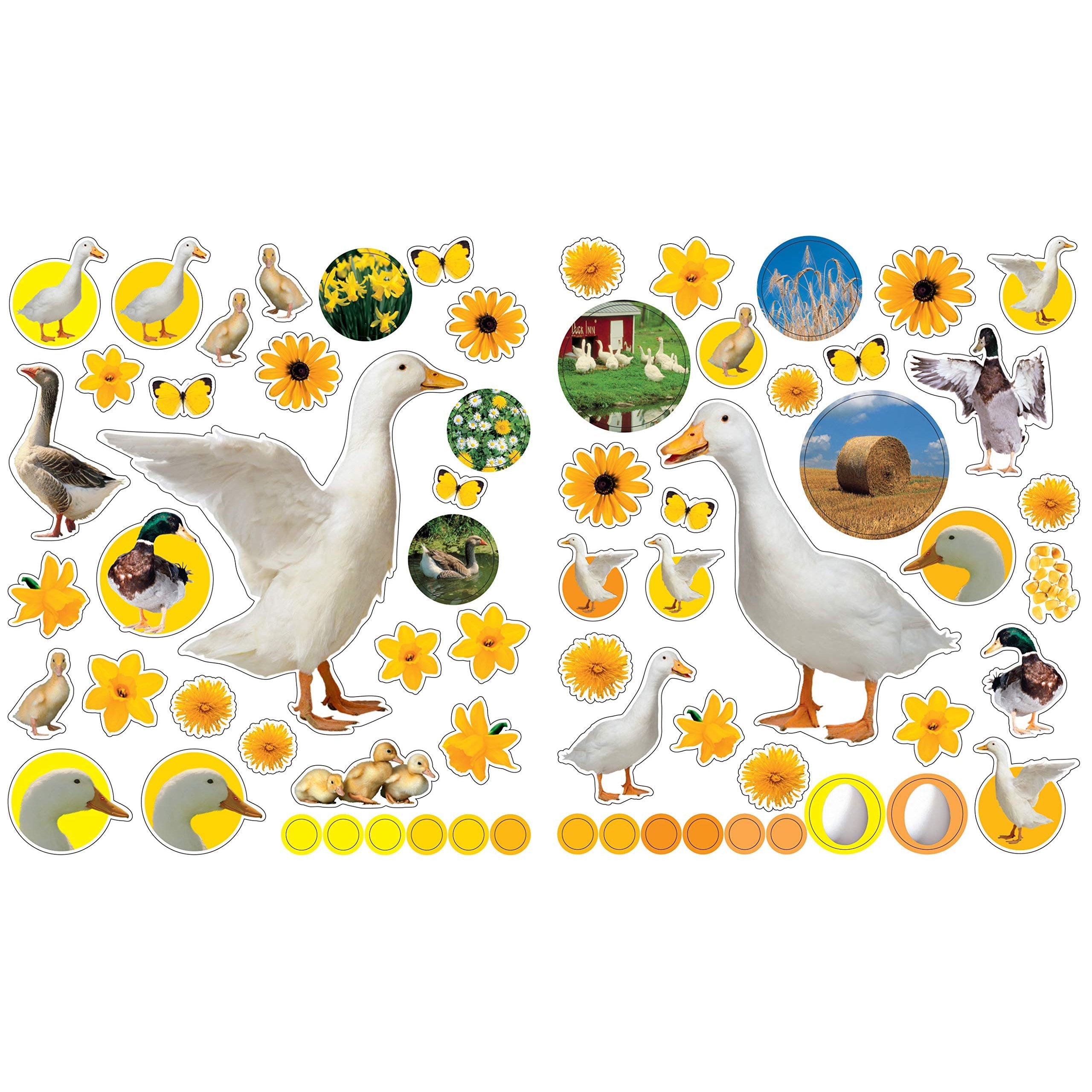 Eyelike Stickers: On the Farm (Paperback Book)-HACHETTE BOOK GROUP USA-Little Giant Kidz