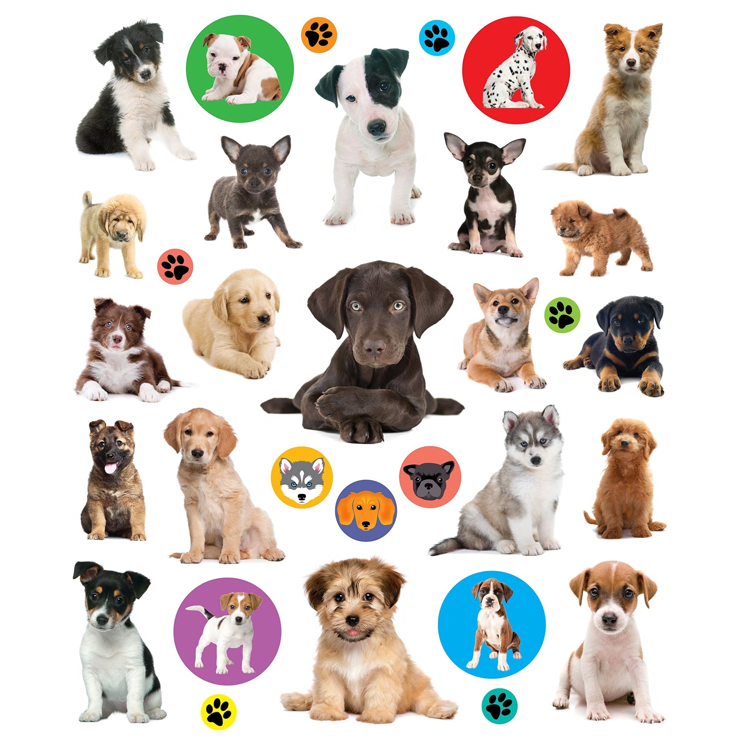 Eyelike Stickers: Puppies (Paperback Book)-HACHETTE BOOK GROUP USA-Little Giant Kidz