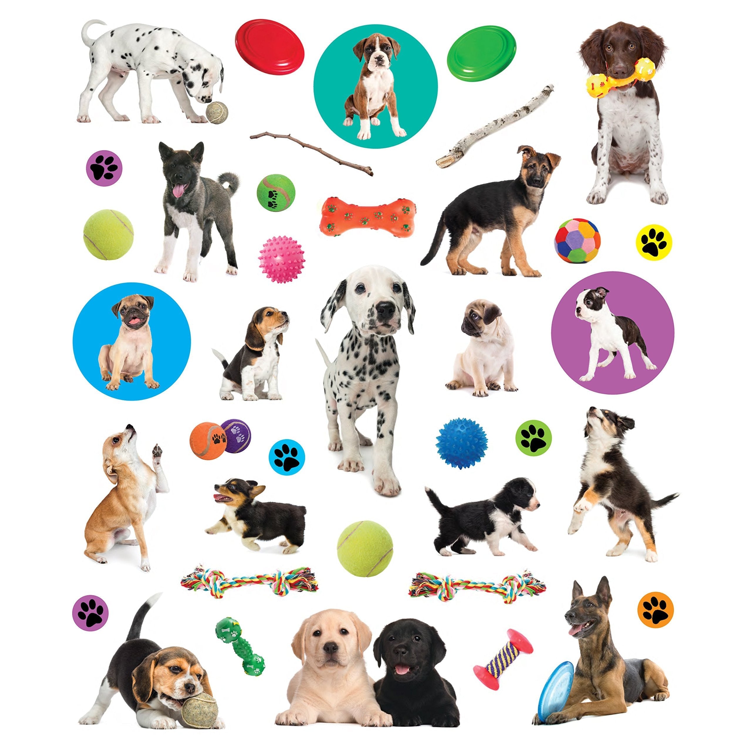 Eyelike Stickers: Puppies (Paperback Book)-HACHETTE BOOK GROUP USA-Little Giant Kidz