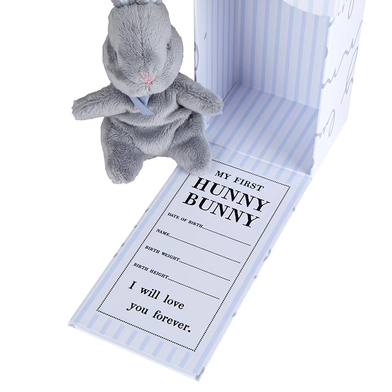 Face To Face Designs My First Hunny Bunny - Mist-STEPHAN BABY-Little Giant Kidz