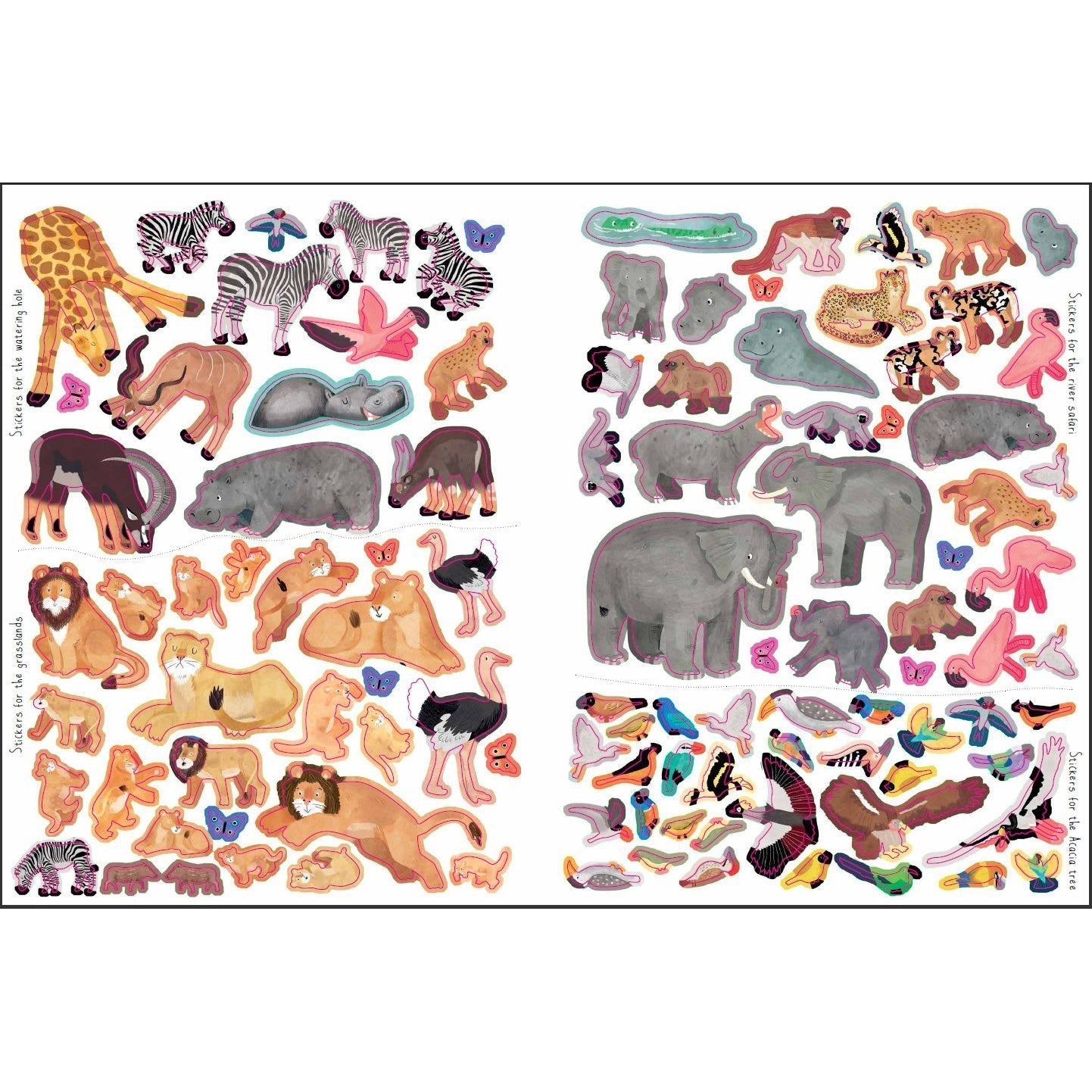 Lonely Planet Kids: Let's Explore...Safari (Paperback Book)-HACHETTE BOOK GROUP USA-Little Giant Kidz