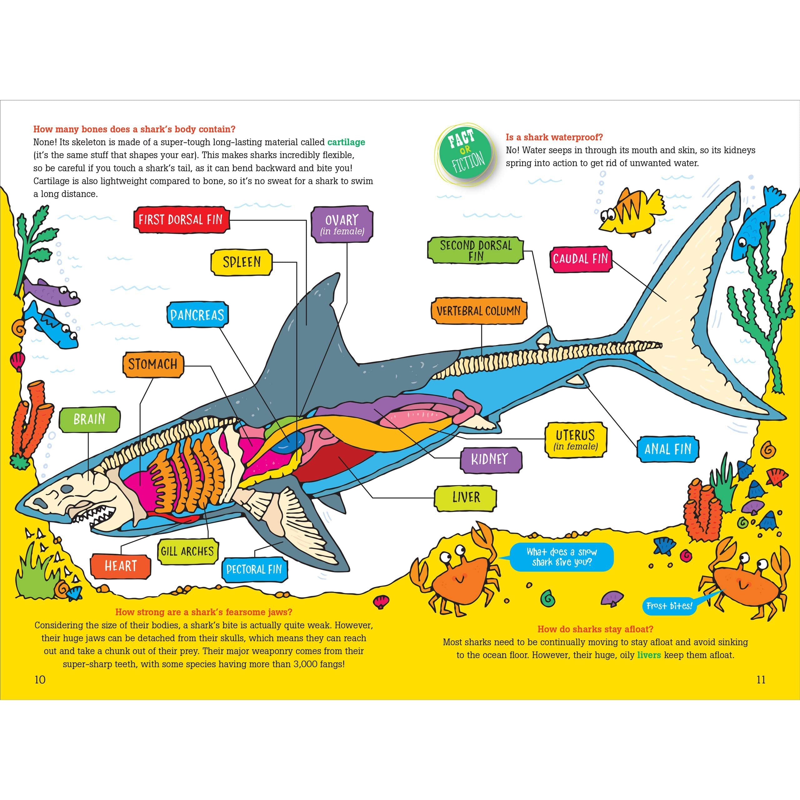 Peter Pauper Press: 100 Questions About Sharks (Hardcover Book)-Peter Pauper Press-Little Giant Kidz